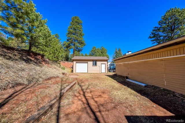 919 W Browning Avenue, Woodland Park, CO 80863