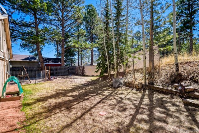 919 W Browning Avenue, Woodland Park, CO 80863