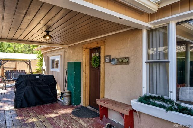 919 W Browning Avenue, Woodland Park, CO 80863