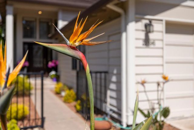 2896 Ransford Avenue, Pacific Grove, CA 93950