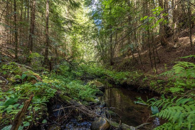 2262 McCloud Creek Rd, Newport, WA 99156