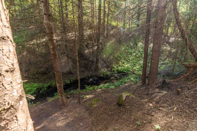 2262 McCloud Creek Rd, Newport, WA 99156
