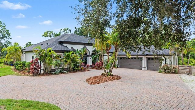 15532 LAKE GRACE DRIVE, Odessa, FL 33556