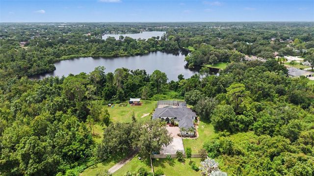 15532 LAKE GRACE DRIVE, Odessa, FL 33556