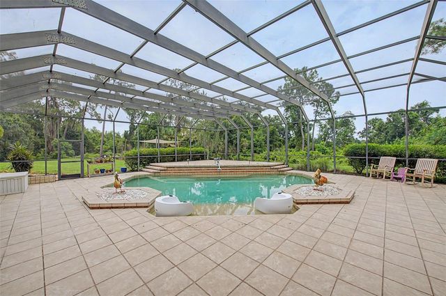 15532 LAKE GRACE DRIVE, Odessa, FL 33556