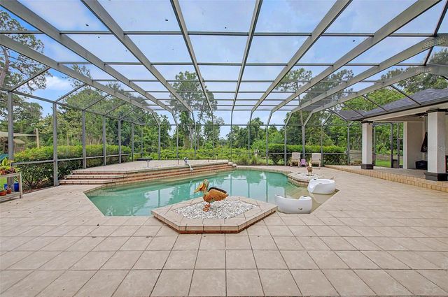 15532 LAKE GRACE DRIVE, Odessa, FL 33556