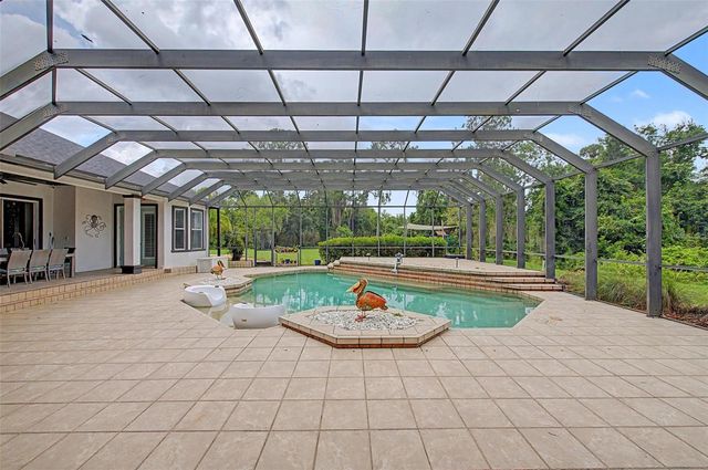 15532 LAKE GRACE DRIVE, Odessa, FL 33556