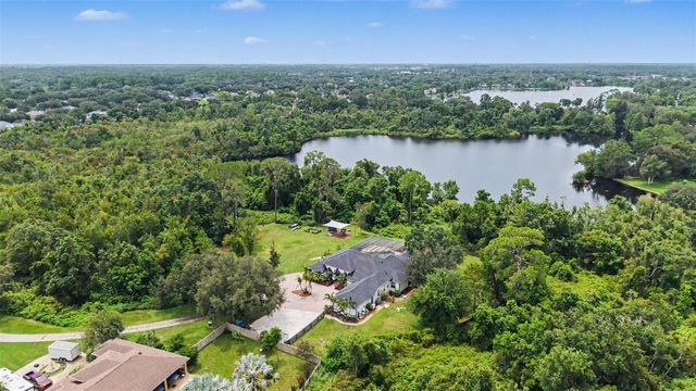 15532 LAKE GRACE DRIVE, Odessa, FL 33556