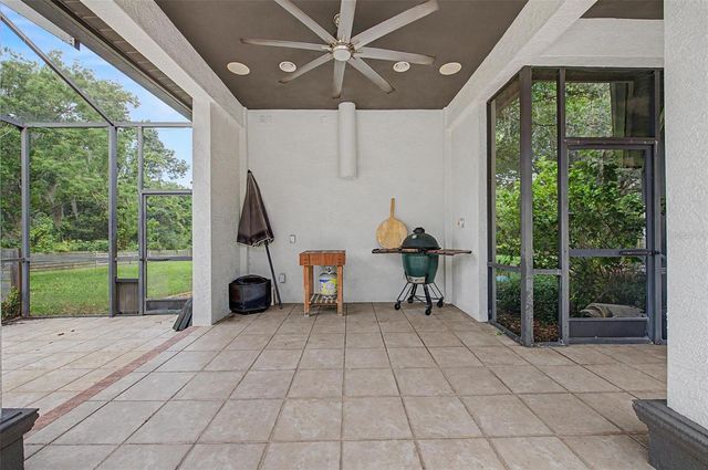 15532 LAKE GRACE DRIVE, Odessa, FL 33556