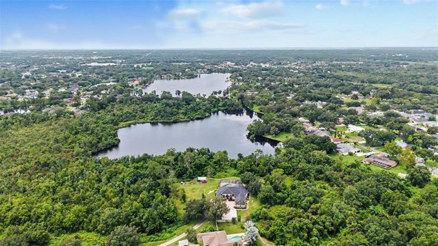 15532 LAKE GRACE DRIVE, Odessa, FL 33556