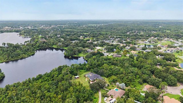 15532 LAKE GRACE DRIVE, Odessa, FL 33556