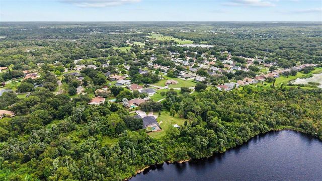 15532 LAKE GRACE DRIVE, Odessa, FL 33556
