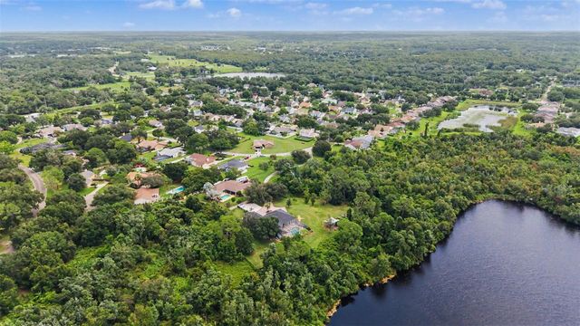 15532 LAKE GRACE DRIVE, Odessa, FL 33556