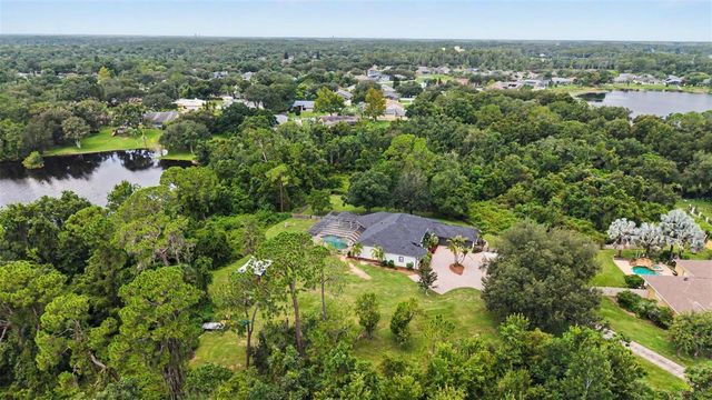 15532 LAKE GRACE DRIVE, Odessa, FL 33556