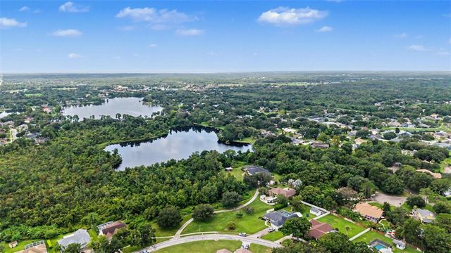 15532 LAKE GRACE DRIVE, Odessa, FL 33556