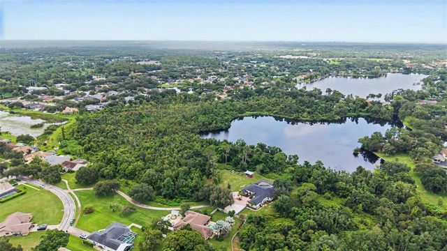 15532 LAKE GRACE DRIVE, Odessa, FL 33556