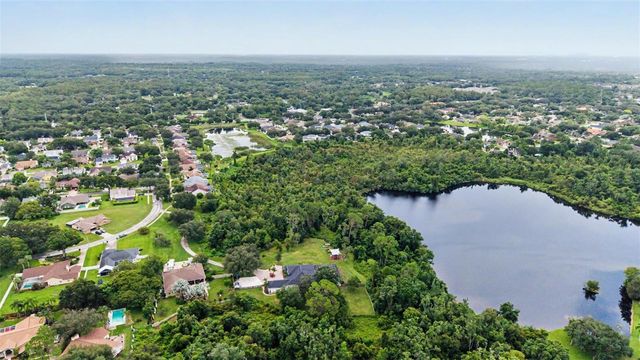 15532 LAKE GRACE DRIVE, Odessa, FL 33556