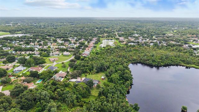 15532 LAKE GRACE DRIVE, Odessa, FL 33556