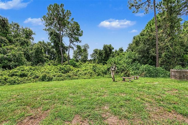 15532 LAKE GRACE DRIVE, Odessa, FL 33556