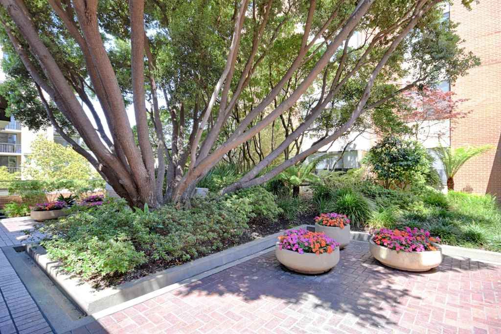 Image 28 of property listing at 101 101 Lombard St 109E, San Francisco, CA 94111
