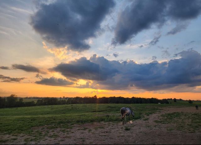 2900 Winchester Road, Paris, KY 40361