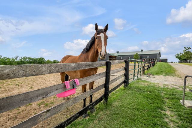 2900 Winchester Road, Paris, KY 40361