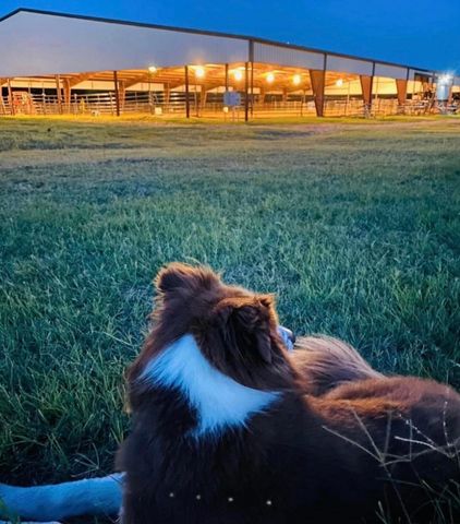 6670 Fm 2303, Stephenville, TX 76401