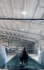 6670 Fm 2303, Stephenville, TX 76401