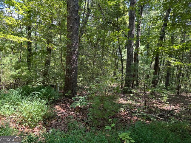 0 Baylaurel Drive, Helen, GA 30545