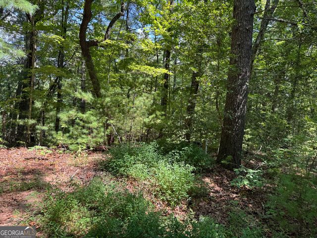 0 Baylaurel Drive, Helen, GA 30545