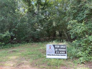 TBD Andrew Jackson Drive, Livingston, TX 77351