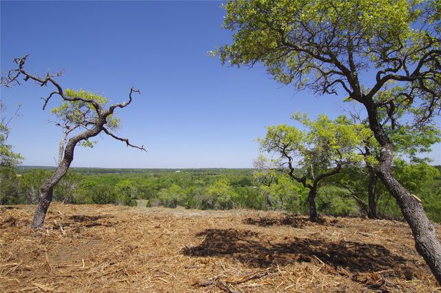 22007 Nameless RD, Leander, TX 78641