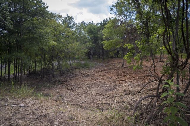 22007 Nameless RD, Leander, TX 78641