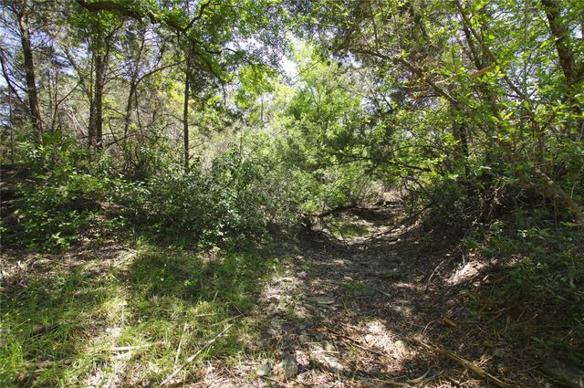 22007 Nameless RD, Leander, TX 78641