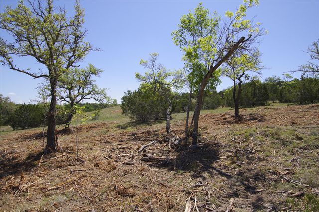 22007 Nameless RD, Leander, TX 78641