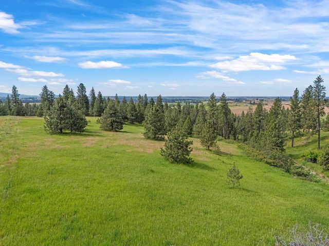 NNA S Sands Rd, Valleyford, WA 99036