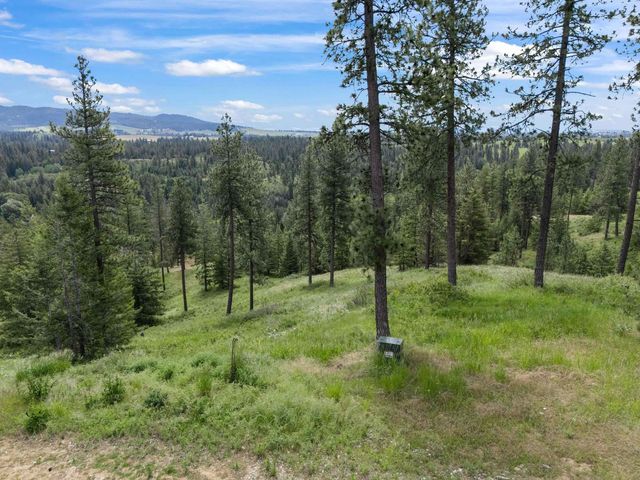 NNA S Sands Rd, Valleyford, WA 99036