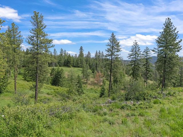 NNA S Sands Rd, Valleyford, WA 99036