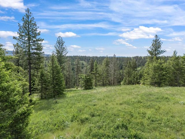 NNA S Sands Rd, Valleyford, WA 99036