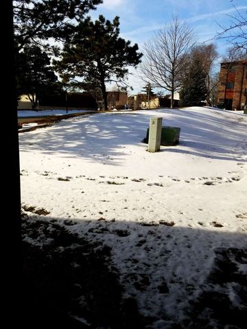 208 Dunteman Drive 101, Glendale Heights, IL 60139