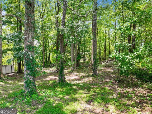 3918 Sherwood Drive, Douglasville, GA 30135