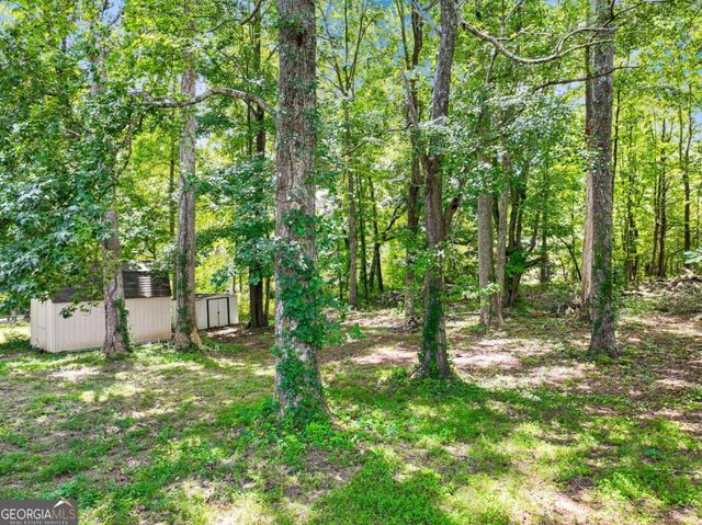 3918 Sherwood Drive, Douglasville, GA 30135