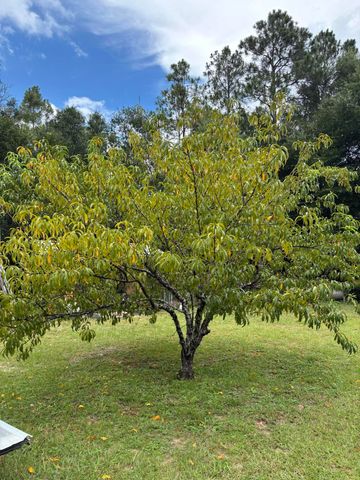 175 Bob Mccaskill Drive, Defuniak Springs, FL 32433