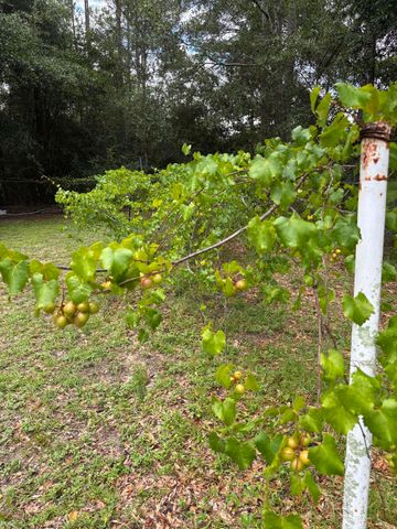 175 Bob Mccaskill Drive, Defuniak Springs, FL 32433