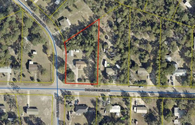 175 Bob Mccaskill Drive, Defuniak Springs, FL 32433