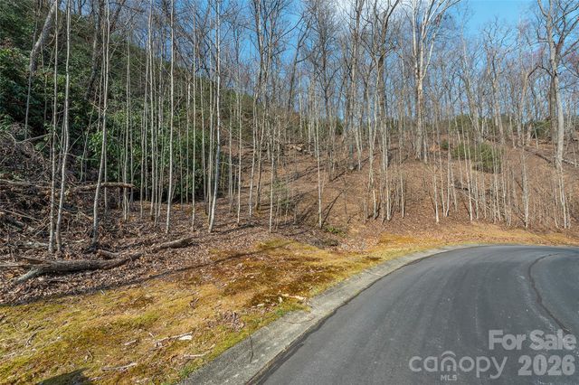 Lot 12 Shining Rock Path, Horse Shoe, NC 28742