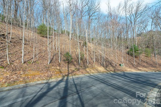 Lot 12 Shining Rock Path, Horse Shoe, NC 28742