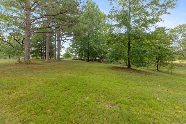 2809 Country Club Dr, Centerville, TN 37033