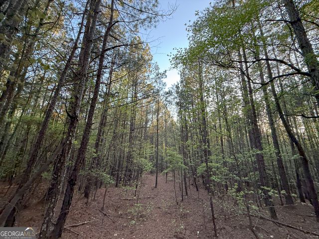 13 Cedar Creek Road, Elberton, GA 30635