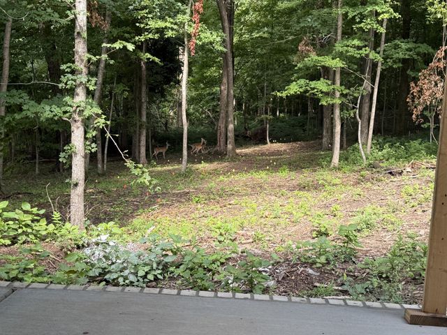 4412 Old Murfreesboro Rd, W, Lebanon, TN 37090
